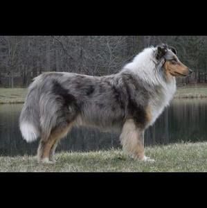 Meet your Posher, Eh